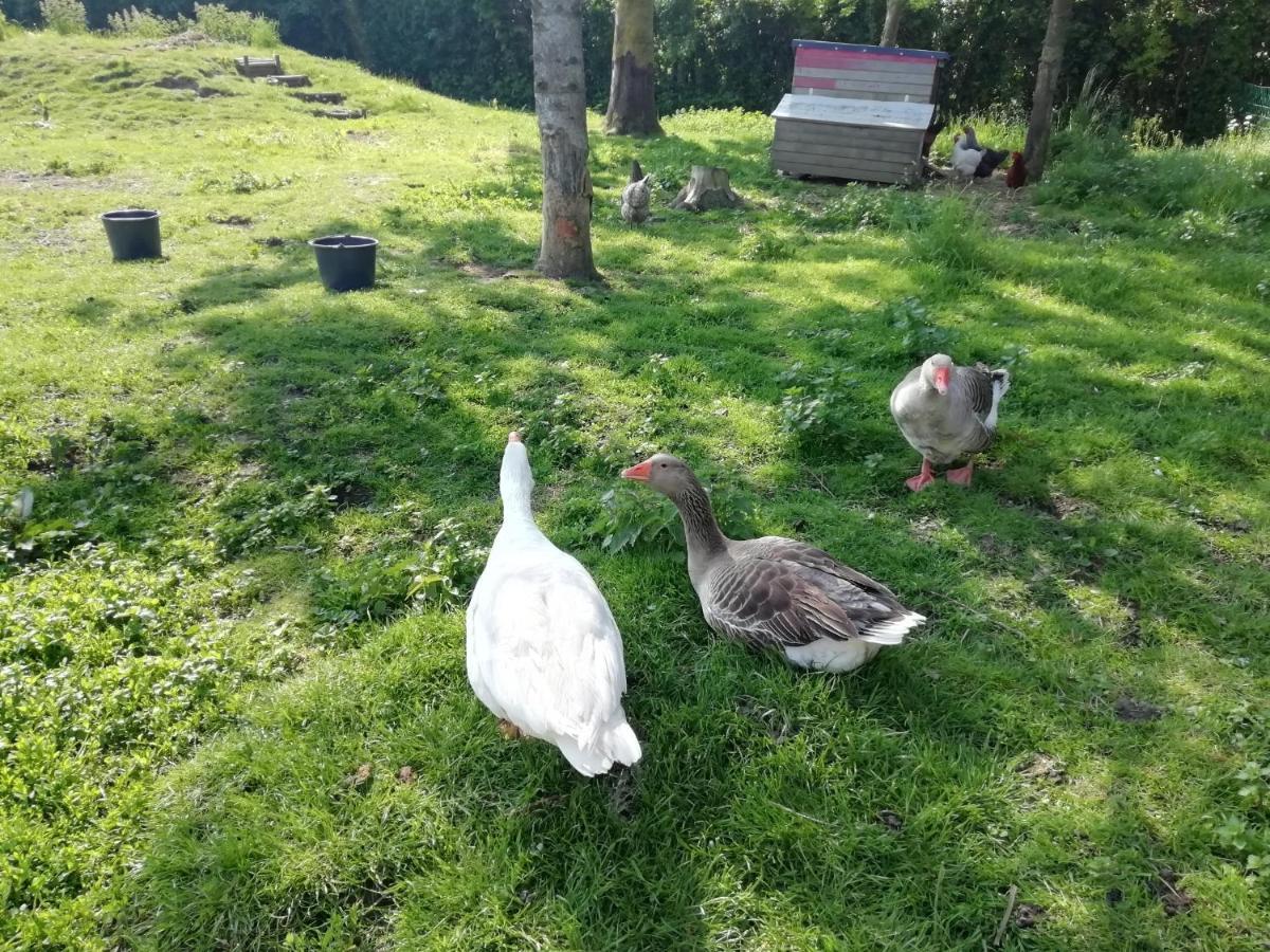 Etage à la ferme indépendant avec piscine intérieure privative Bassee Exterior foto